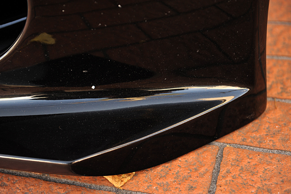 101224 s1 DSC_9390.jpg